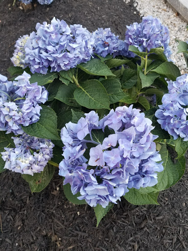 Event Venue «Indian Ranch», reviews and photos, 200 Gore Rd, Webster, MA 01570, USA