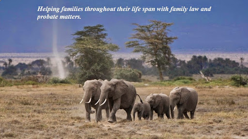 Adams, Briggs & Briggs, Attorneys At Law, 119 Magnolia Ave, Daytona Beach, FL 32114, USA, Family Law Attorney