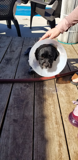 Pet Supply Store «Pet Supplies Plus», reviews and photos, 1031 Northwest Hwy, Garland, TX 75041, USA