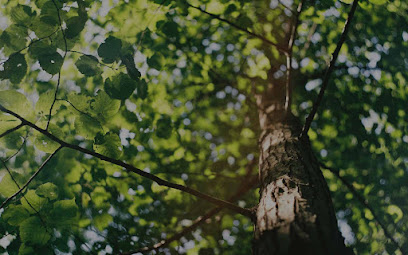 Highplains Tree Service, LLC