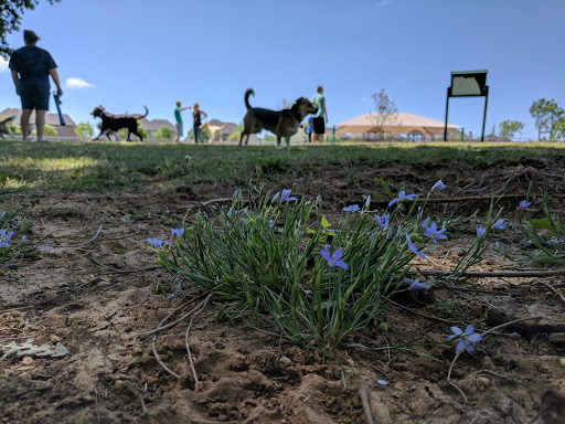 Dog Park «Freedom Dog Park», reviews and photos, 2675 Trophy Park Dr, Roanoke, TX 76262, USA