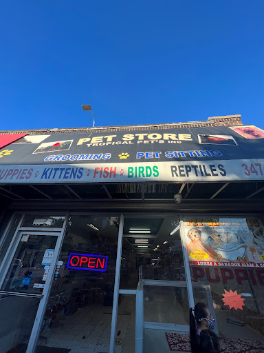 Pet Store «Tropical Pets Inc.», reviews and photos, 37-65 103rd St, Corona, NY 11368, USA