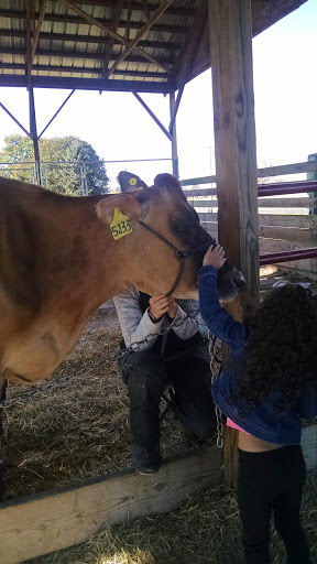 Dairy Farm «Cows-N-Corn», reviews and photos, 5225 Catlett Rd, Midland, VA 22728, USA