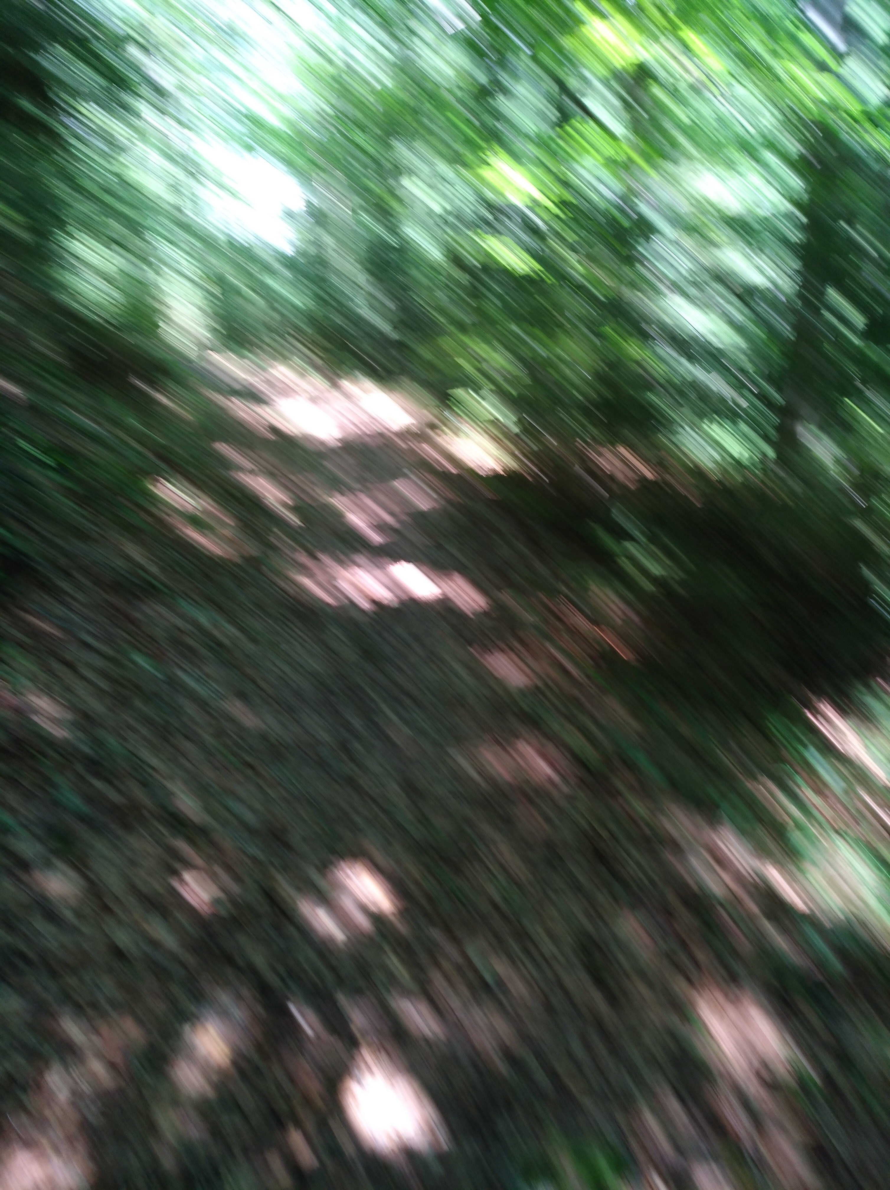 Photo n° 30 de l'avis de Nadine.o fait le 17/07/2018 à 15:02