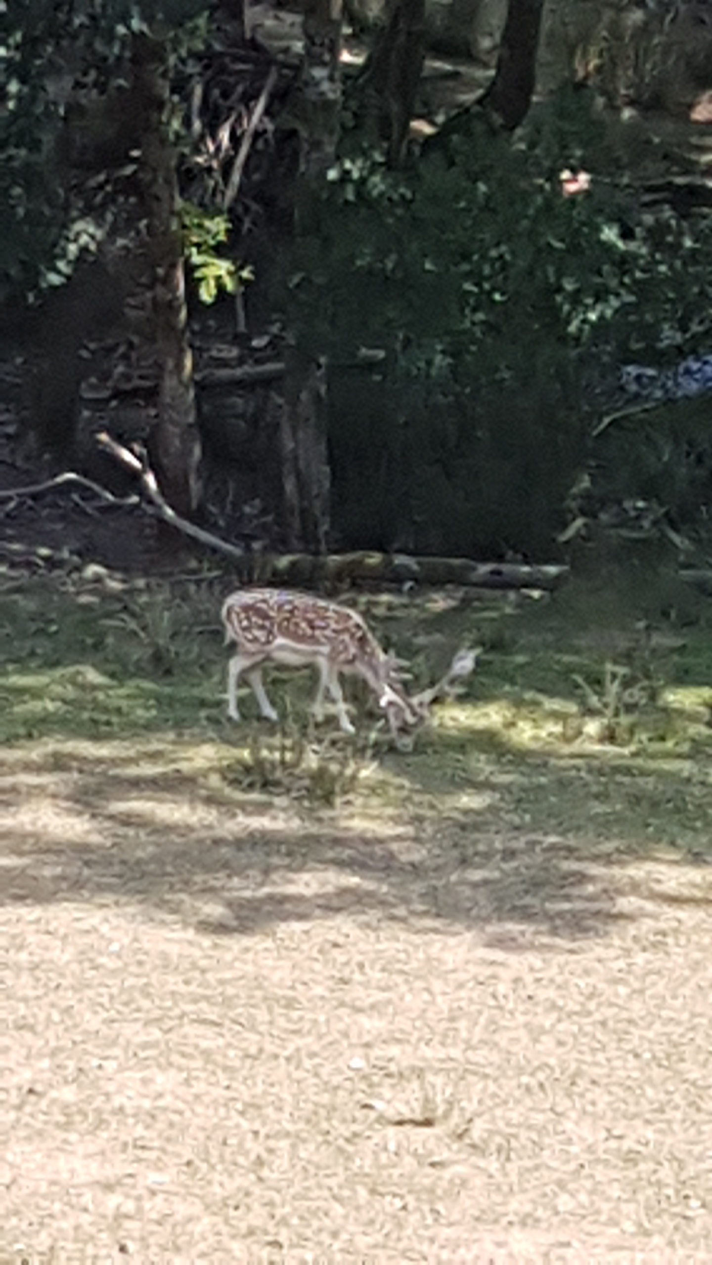 Photo n° 1 de l'avis de Eve.y fait le 12/08/2020 à 12:07