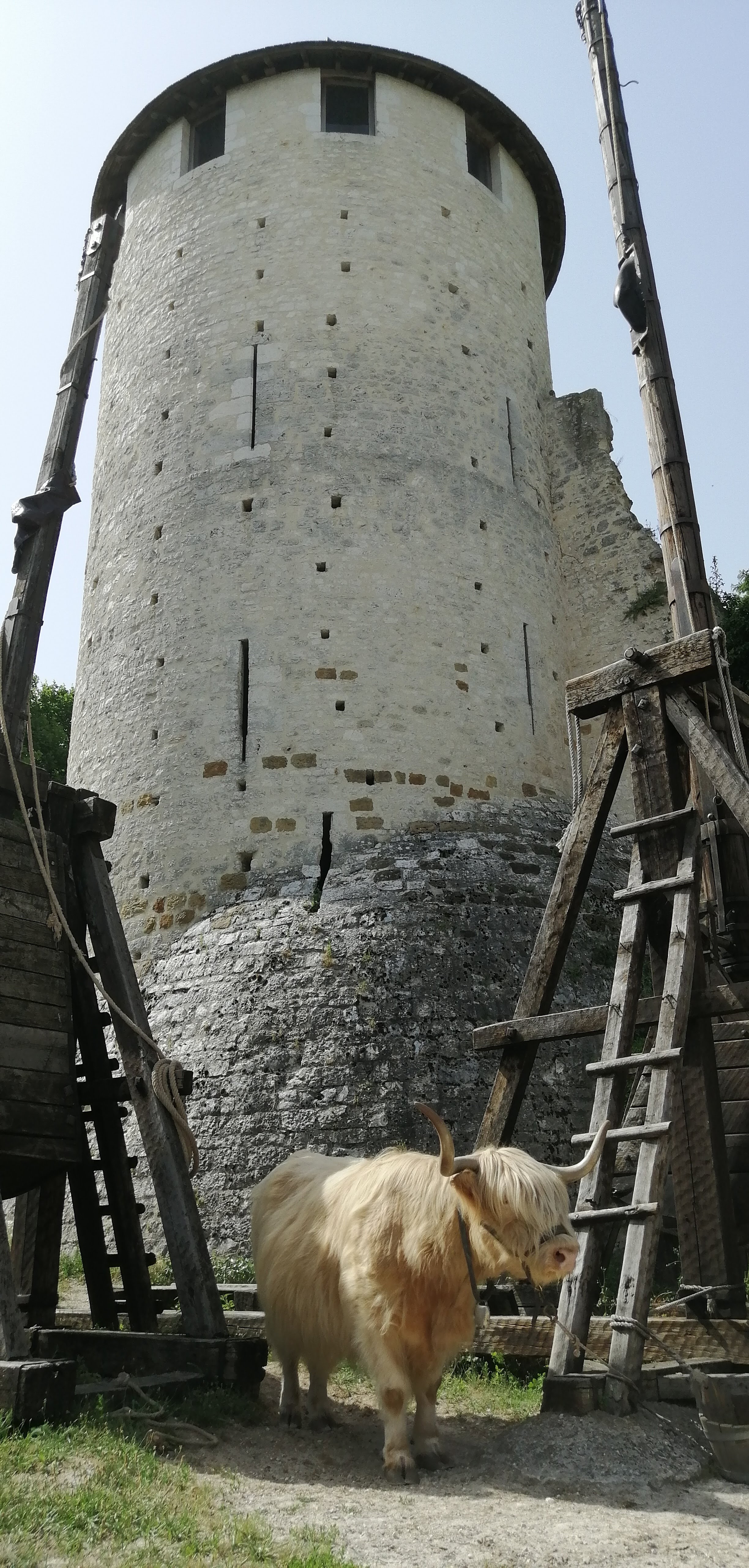 Photo n° 1 de l'avis de Johann.A fait le 30/06/2022 à 05:51