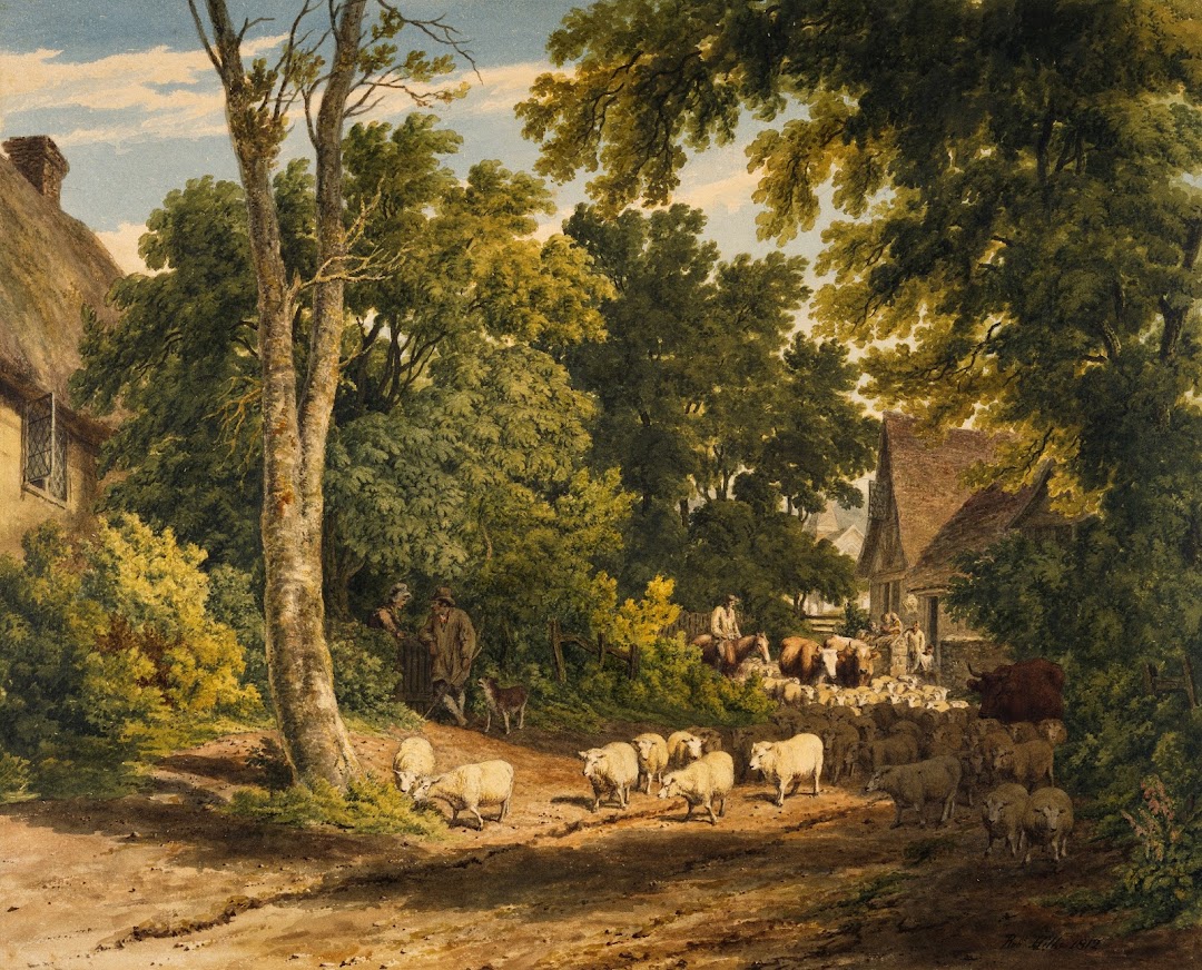 Country Village