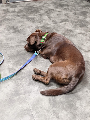 32 Mendota Rd, Inver Grove Heights, MN 55077, USA