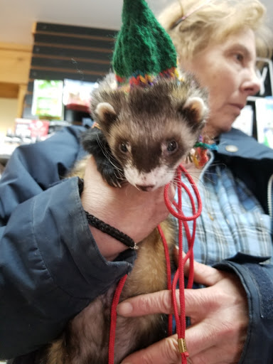 Pet Supply Store «Cheshire Cat & Dog Too», reviews and photos, 1320 Waterbury Rd, Cheshire, CT 06410, USA