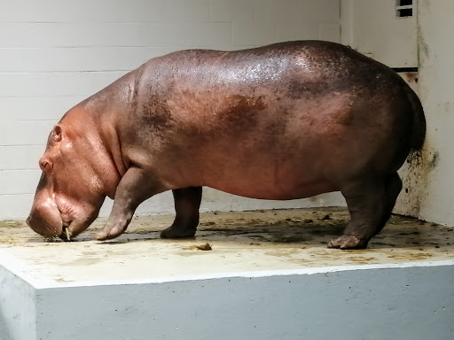 Zoo «Topeka Zoo», reviews and photos, 636 SW Zoo Pkwy, Topeka, KS 66606, USA