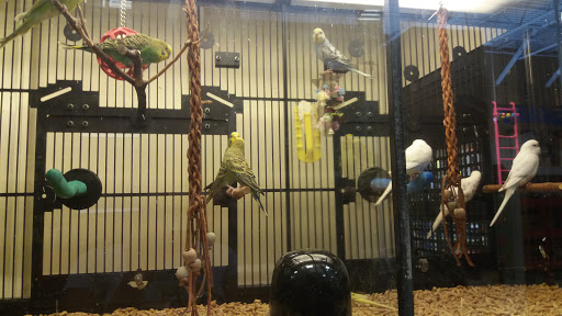 Pet Supply Store «PetSmart», reviews and photos, 5401 N Garland Ave, Garland, TX 75040, USA