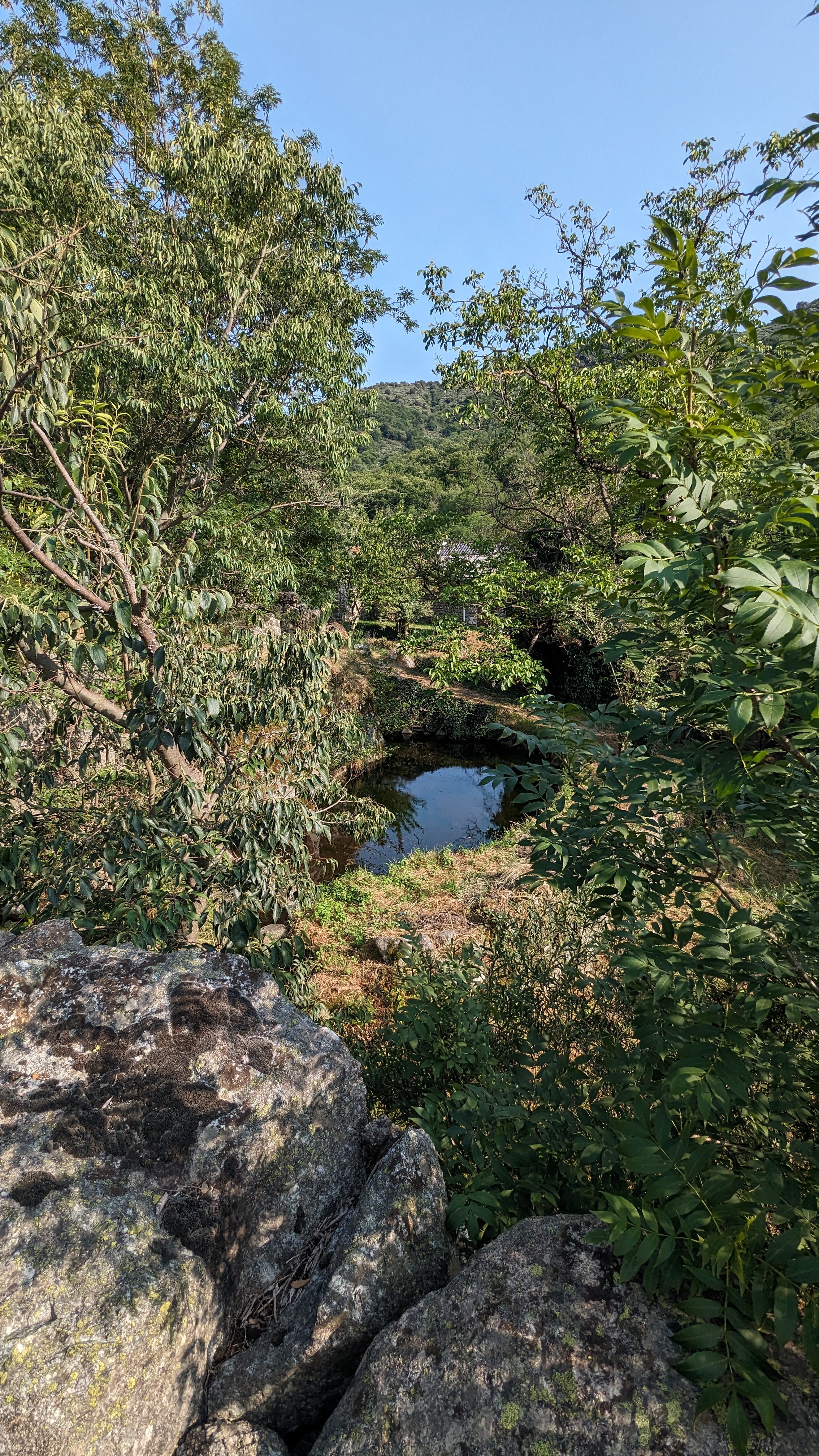 Photo n° 1 de l'avis de Yannis. fait le 31/07/2023 à 16:36