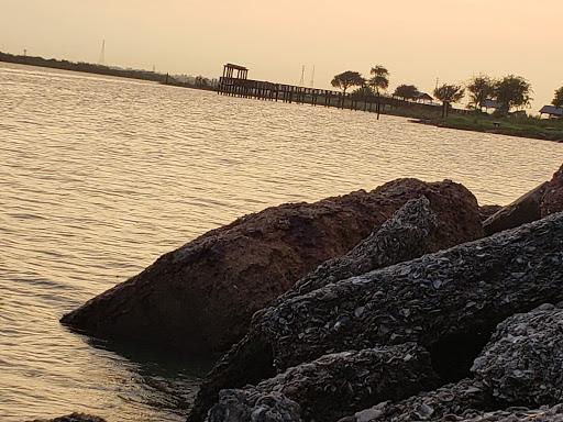 Nature Preserve «Baytown Nature Center», reviews and photos, 6213 Bayway Dr, Baytown, TX 77520, USA