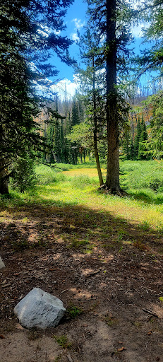 Upper Lava Mountain Trailhead