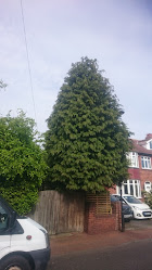 Oakfield Tree and Hedge Services