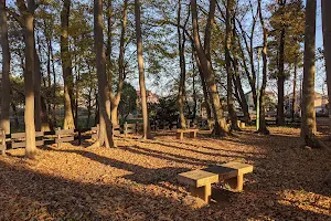 Hanasakijoyama Park image