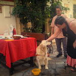 Photo n°4 de l'avis de Giuseppe.a fait le 15/10/2021 à 22:53 sur le  Tana del Lupo à Galatina