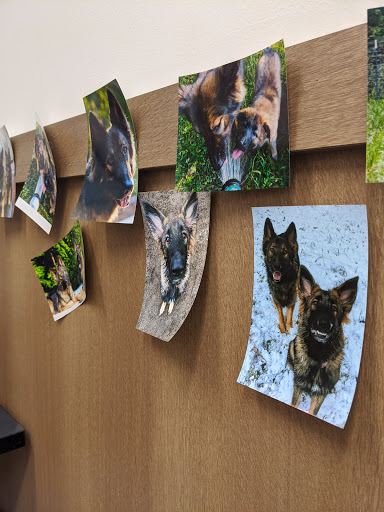 Drug Store «Bartell Drugs Bellevue Village», reviews and photos, 10116 NE 8th St, Bellevue, WA 98004, USA