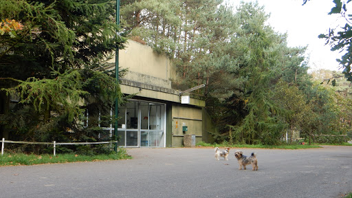Dr.med.vet. Dirk Jan Riemersma veterinarian unter Kevelaer, Nordrhein-Westfalen