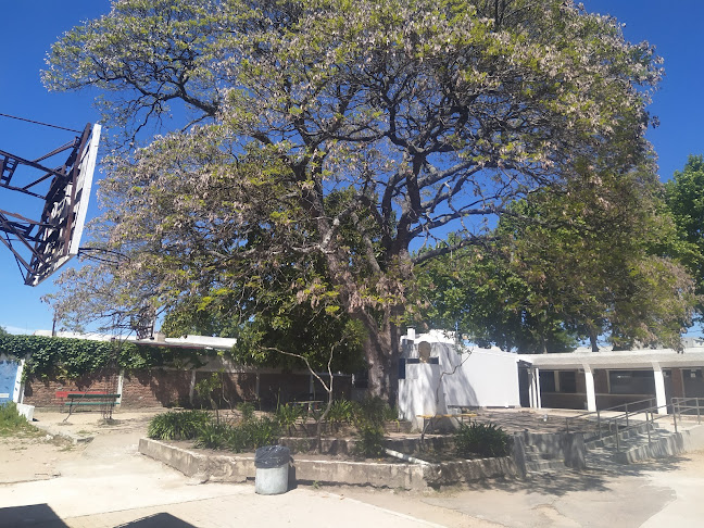 Biblioteca Escuela Técnica Trinidad