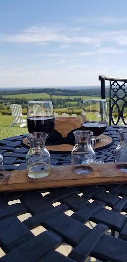 Winery «Trump Winery Tasting Room», reviews and photos, 3550 Blenheim Rd, Charlottesville, VA 22902, USA