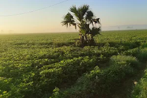 Vempalli Cross image