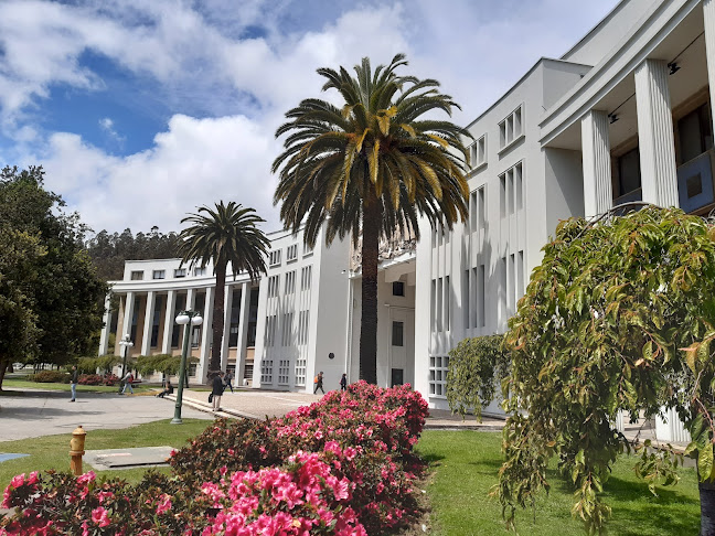 Universidad de Concepción - Concepción