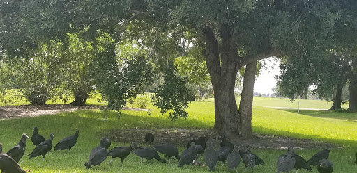 Golf Club «Meadowood Golf and Tennis Club», reviews and photos, 9425 Meadowood Dr, Fort Pierce, FL 34951, USA