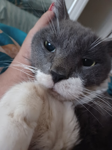 Pet Supply Store «Big Tex Feed & Pet Supply», reviews and photos, 7102 Cullen Blvd, Houston, TX 77021, USA