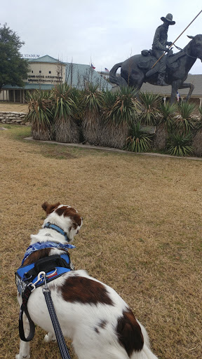 Museum «Texas Ranger Hall of Fame & Museum», reviews and photos, 100 Texas Ranger Trail, Waco, TX 76706, USA