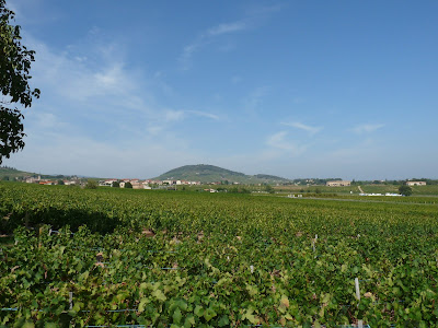Delaye Eric à Saint-Étienne-la-Varenne