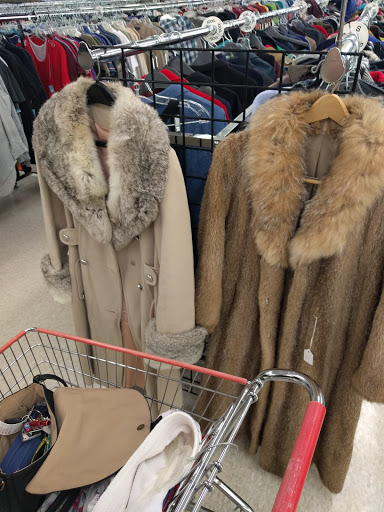 Thrift Store «Bethesda Thrift Shop», reviews and photos, 14660 Manchester Rd, Ballwin, MO 63011, USA