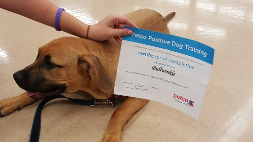 Pet Supply Store «Petco Animal Supplies», reviews and photos, 205 Palm Bay Rd NE #155, West Melbourne, FL 32904, USA