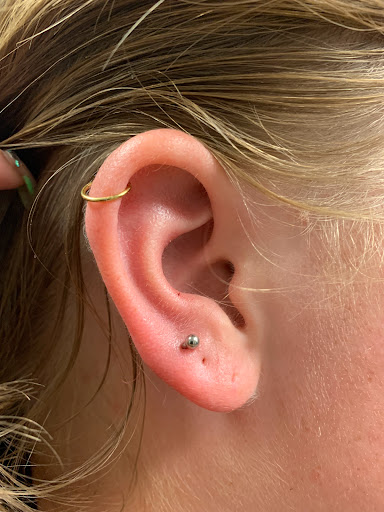 Explore bamboo tattoo ideas, creative tattoo ideas in Round Rock, available at Piercings by Toni