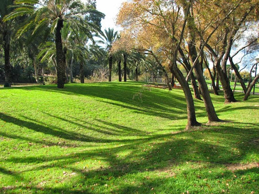 Parks for picnics in Tel Aviv