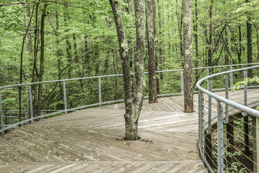 Art Center «Annmarie Sculpture Garden and Arts Center», reviews and photos, 13480 Dowell Rd, Dowell, MD 20629, USA