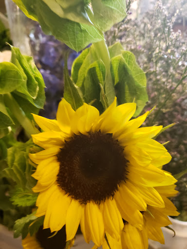 Florist «Treasures Remembered Florist», reviews and photos, 600 W Locust St, Princeton, KY 42445, USA