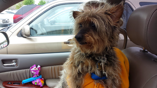 Pet Supply Store «PetSmart», reviews and photos, 5640 Cedar Lake Rd, Minneapolis, MN 55416, USA