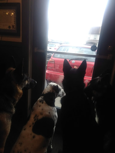 Used Car Dealer «Bonalle Auto Sales and Repair», reviews and photos, 501 E Penn Ave, Cleona, PA 17042, USA