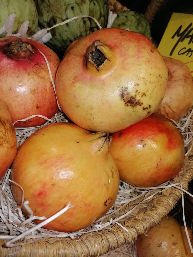 Fruites i Verdures Garcia Vicent