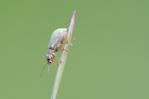 Park «Colby Lake Park», reviews and photos, 9715 Valley Creek Rd, Woodbury, MN 55125, USA