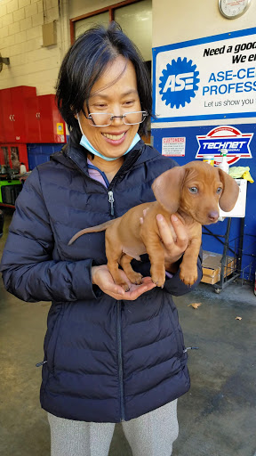 Auto Repair Shop «GIC Car Clinic», reviews and photos, 375 Bird Ave, San Jose, CA 95126, USA