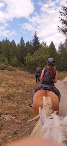 Cheval d'Aoste Mont Blanc Località Planpincieux, 11013 Courmayeur AO, Italia
