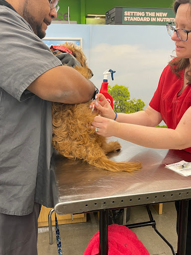 Pet Supply Store «Petco Animal Supplies», reviews and photos, 9111 Metropolitan Ave, Rego Park, NY 11374, USA