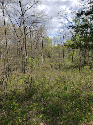 Nature Preserve «Leonard Preserve», reviews and photos, N Union St, Manchester, MI 48158, USA