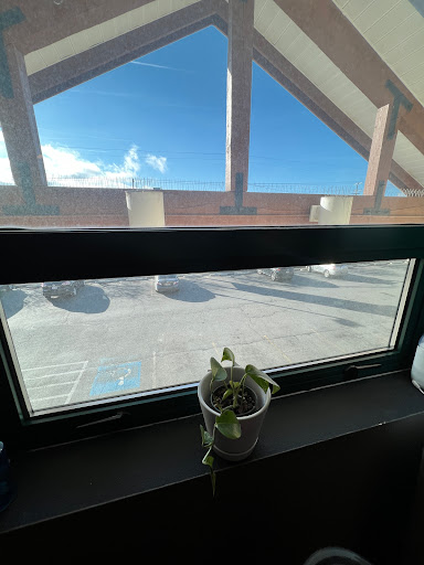 Explore veni vidi vici tattoo ideas, creative tattoo ideas in Spokane, available at DZ INK TATTOO PARLOR