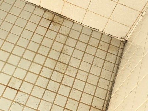 Carpet Cleaning Service «Elite Carpet Cleaning Service», reviews and photos, 29031 Glenarden St, Farmington Hills, MI 48334, USA