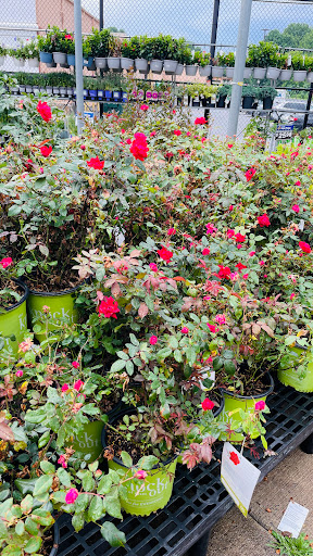 Discount Store «Walmart», reviews and photos, 3133 Main St, Mohegan Lake, NY 10547, USA