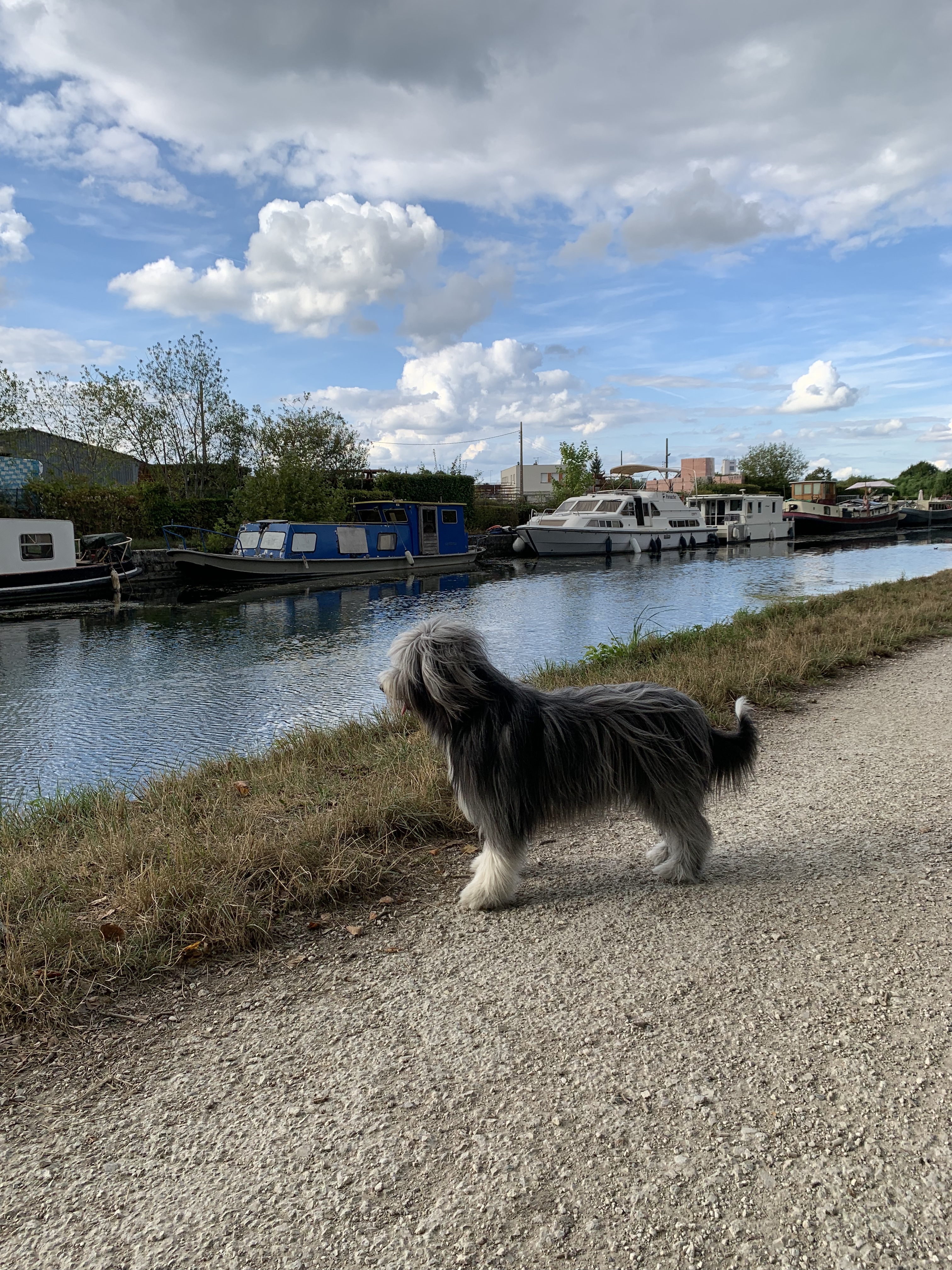 Photo n° 2 de l'avis de Guillaume.a fait le 07/10/2022 à 17:08