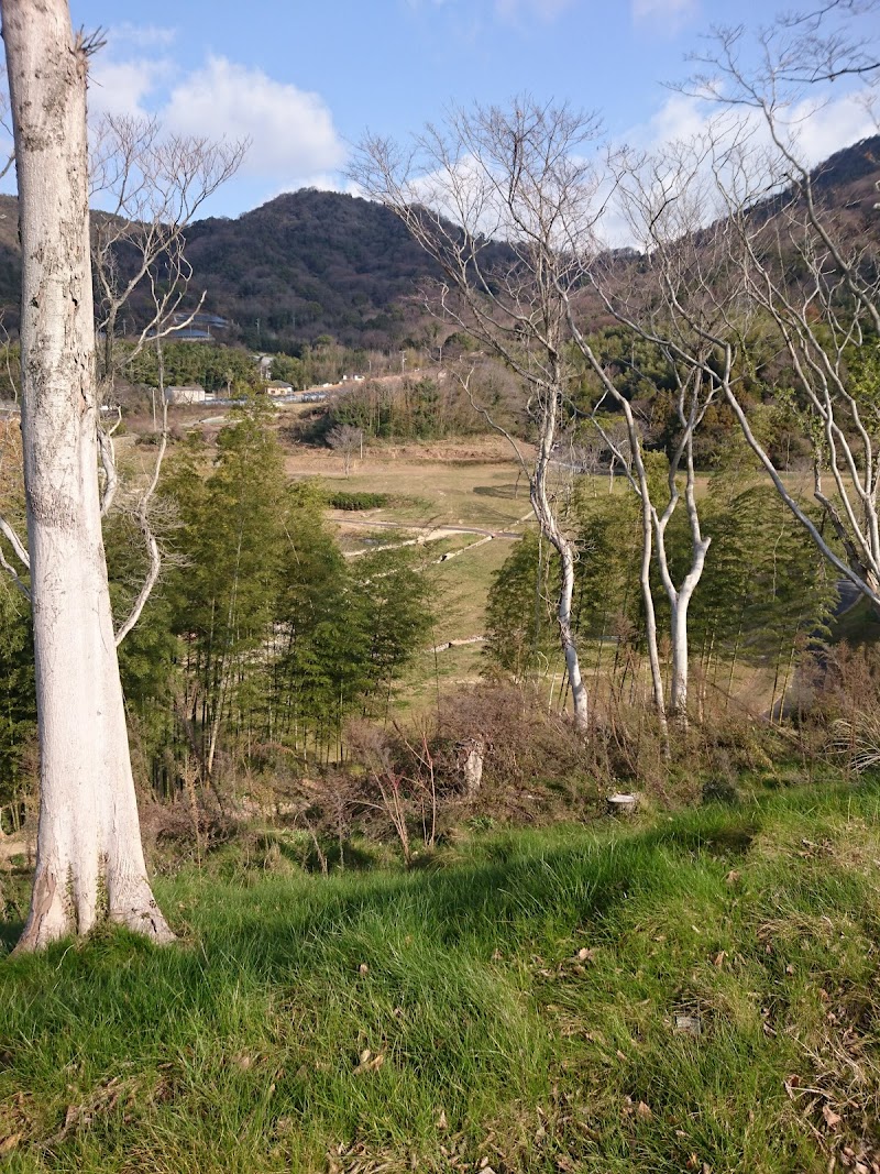 愛媛県漁協 伯方支所